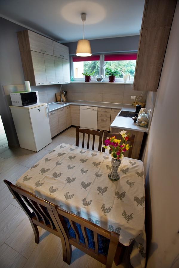 Easy Rider Hostel Wroclaw Bagian luar foto