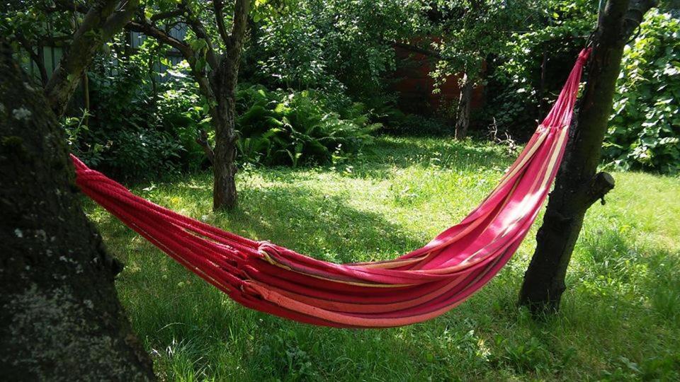 Easy Rider Hostel Wroclaw Bagian luar foto